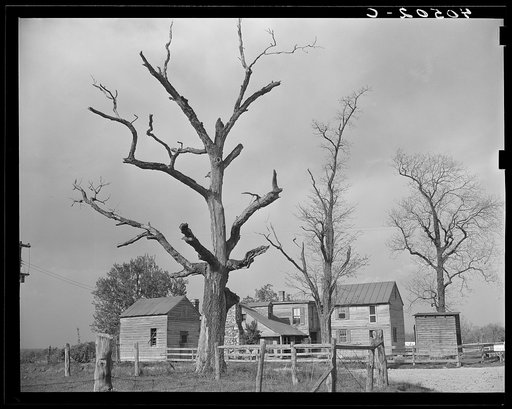 Houses at crossroads, two miles west of Sterling