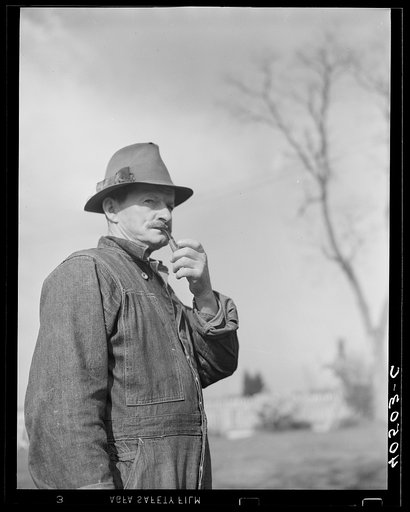 Untitled photo, possibly related to: Retired railroad engineer who owns twenty-five acre farm. Raises corn and wheat near Sterling, Virginia