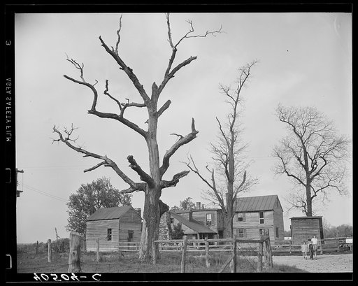 Untitled photo, possibly related to: Houses at crossroads, two miles west of Sterling