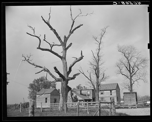 Untitled photo, possibly related to: Houses at crossroads, two miles west of Sterling