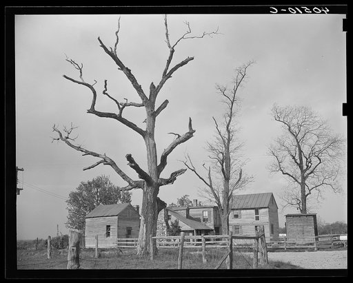 Untitled photo, possibly related to: Houses at crossroads, two miles west of Sterling