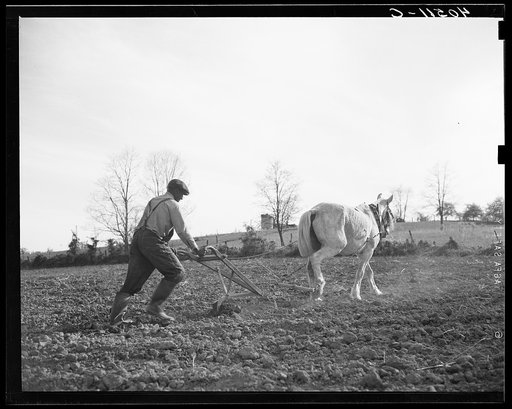 Negro farmer plowing his field of four acres. Near Washington, Virginia