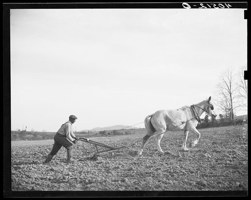 Untitled photo, possibly related to: Farmer plowing his field of four acres. Near Washington, Virginia