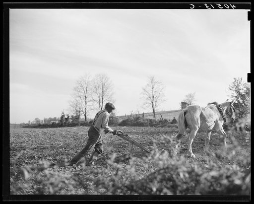 Untitled photo, possibly related to: Farmer plowing his field of four acres. Near Washington, Virginia