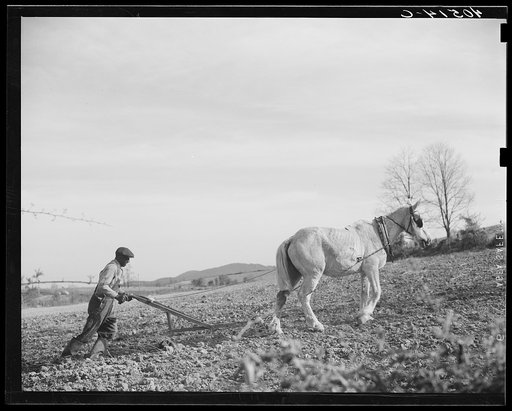 Untitled photo, possibly related to: Farmer plowing his field of four acres. Near Washington, Virginia