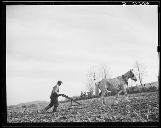 Farmer plowing his field of four acres. Near Washington, Virginia