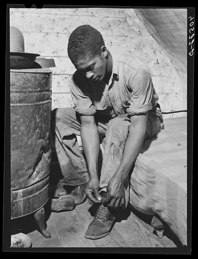 One of the sons of Roger Spence, FSA (Farm Security Administration) client. Near Princess Anne, Maryland