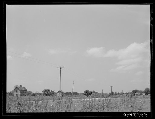 Farmhouses on the flat land of the Eastern shore