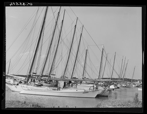 Fleet of oyster boats in Deal Island bay, Maryland