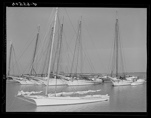 Fleet of oyster boats in Deal Island Bay. Eastern Shore, Maryland