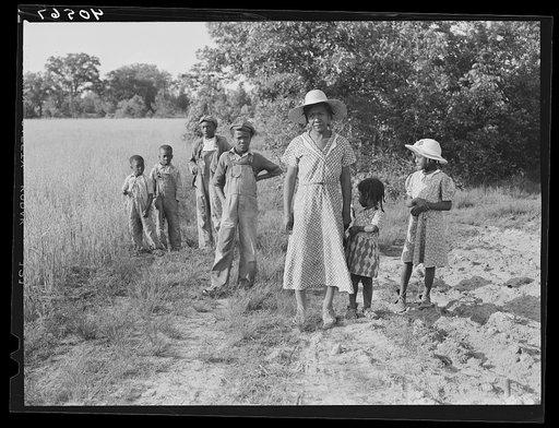 Negro tobacco planter's family. The three children in the background are those of a neighbor. Near Farrington, North Carolina. Chatham County