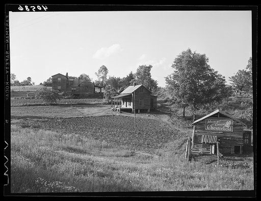 Farm landscape with tobacco barn. Highway 15 about five miles north of Durham, North Carolina