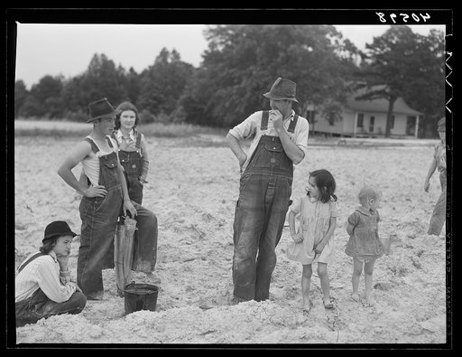 Tenant farmer and part of his family in field ready for tobacco planting. Nine miles north of Danville, Pittsylvania County, Virginia