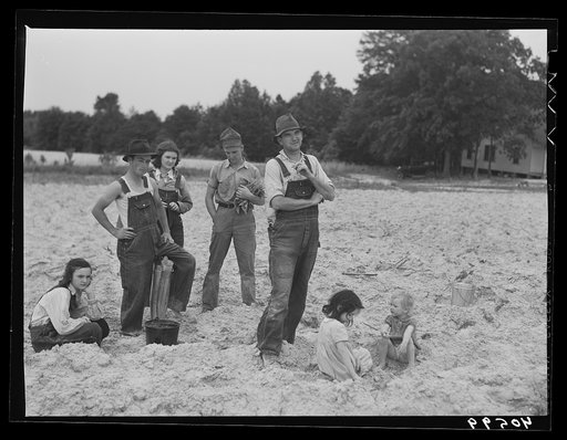 Untitled photo, possibly related to: Tenant farmer and part of his family in field ready for tobacco planting. Nine miles north of Danville, Pittsylvania County, Virginia