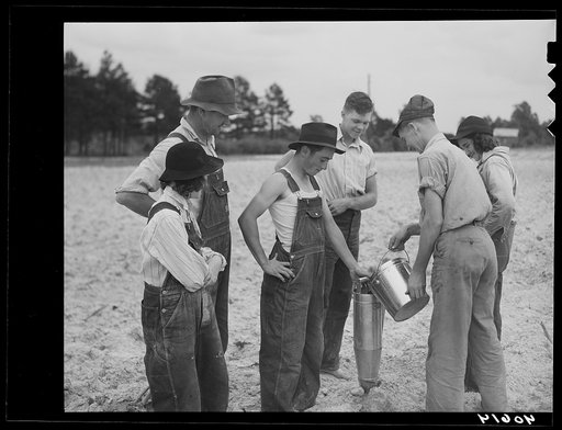 Tenant farmer and some of his children. They are putting water into the mechanical planter. Farm, nine miles north of Danville, Pittsylvania County, Virginia