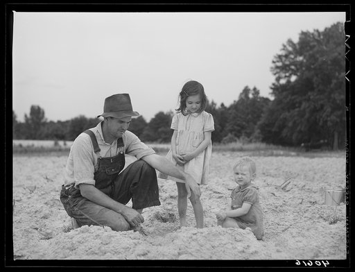 Untitled photo, possibly related to: Tenant farmer and part of his family in field ready for tobacco planting. Nine miles north of Danville, Pittsylvania County, Virginia