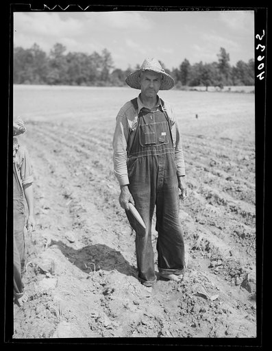 Mr. Rigsbee, owner of a forty acre farm, 1.1 acres of which is in tobacco.  Near Farrington, Chatham County, North Carolina