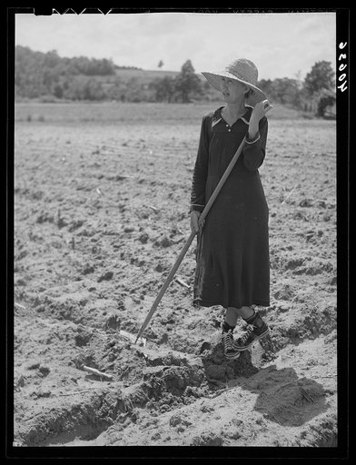 Untitled photo, possibly related to: Mrs. Jones, wife of tenant farmer. Near Farrington, Orange County, North Carolina