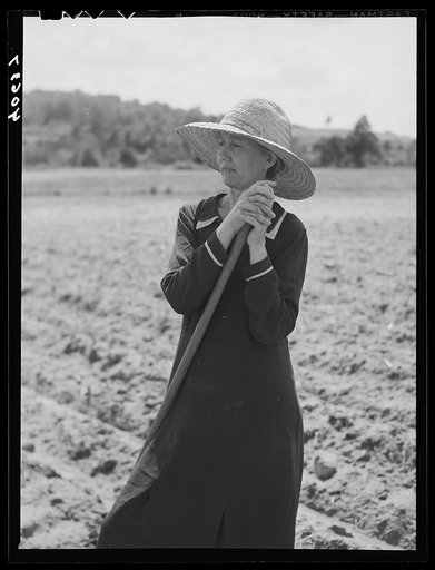 Mrs. Jones, wife of tenant farmer. Near Farrington, Orange County, North Carolina