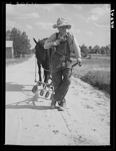 Farmer going home from his field. Near Farrington, Chatham County, North Carolina