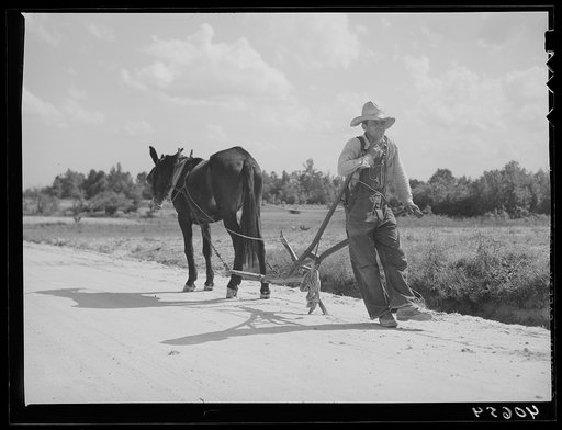 Untitled photo, possibly related to: Farmer going home from field. Near Farrington, Chatham County, North Carolina