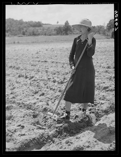 Untitled photo, possibly related to: Mrs. Jones, wife of tenant farmer. Near Farrington, Orange County, North Carolina