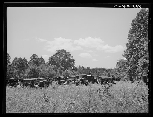 Untitled photo, possibly related to: Auto graveyard along U.S. Highway No. 1 near Sulphur Springs, Maryland