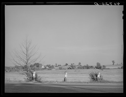 Farm along U.S. Highway No. 1 between Washington, D.C. and Baltimore, Maryland