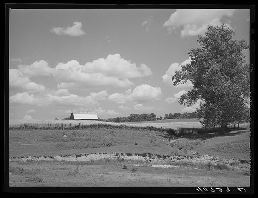 Farm along highway No. 1 near Savage, Maryland