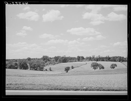 Farmland along U.S. Highway No. 1 near Savage, Maryland