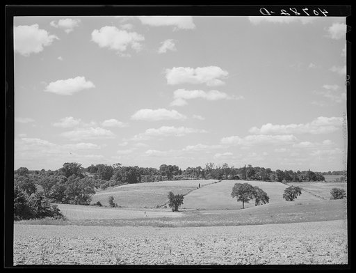 Farmland along U.S. Highway No. 1 near Savage, Maryland