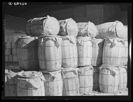 Sacks of potatoes waiting at the freight station for shipment to northern cities. Camden, North Carolina