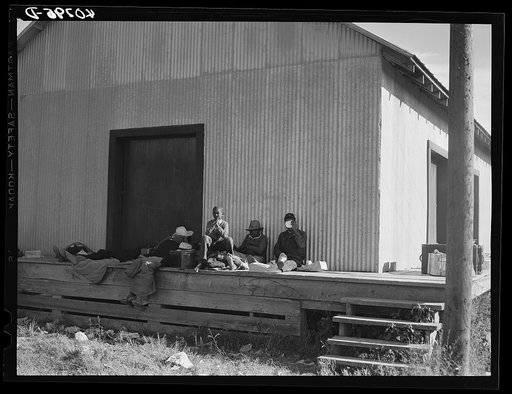 A group of new arrivals from Florida at the grading station at Camden, North Carolina