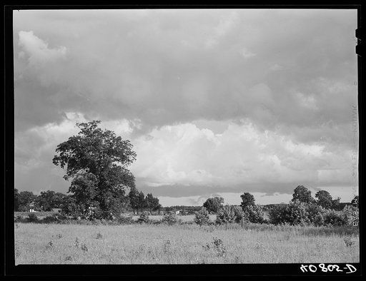 North Carolina landscape near Old Trap, North Carolina
