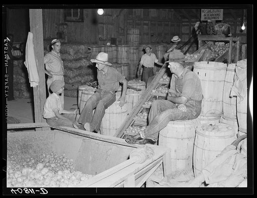 At the "hopper" end of the grader at Camden, North Carolina station