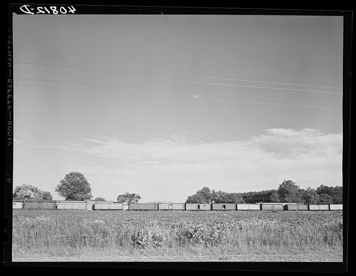 Freight cars waiting to be loaded with potatoes. Between Camden and Belcross, North Carolina