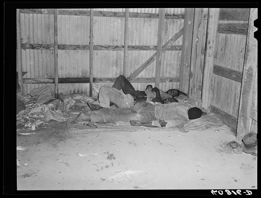 Sleeping quarters of migratory agricultural workers consists of potato sacks on the floor of the warehouse. Belcross, North Carolina