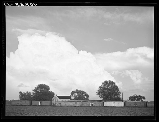Freight cars at a grading station near Belcross, North Carolina