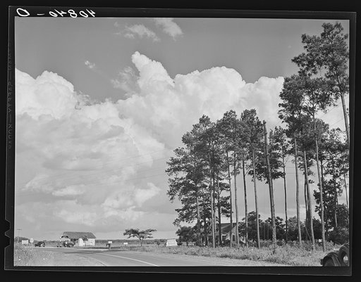 Turn in the road between Camden and Old Trap, North Carolina