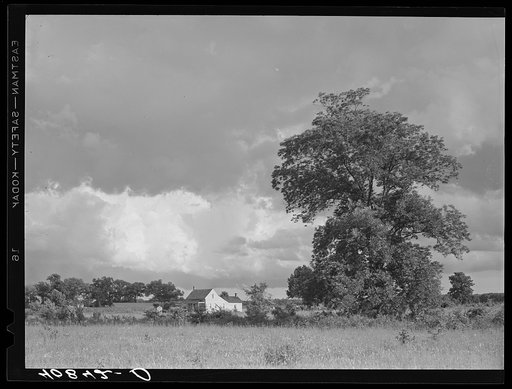Farm landscape after a rain near Shiloh, North Carolina