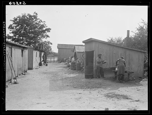Camp of migratory agricultural workers during the apple picking season at Bridgeville, Delaware