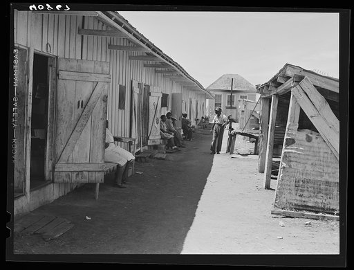 Camp for migratory agricultural workers of the Phillips Packing Company in Vienna, Maryland. On the left are the living quarters and on the right the cook houses