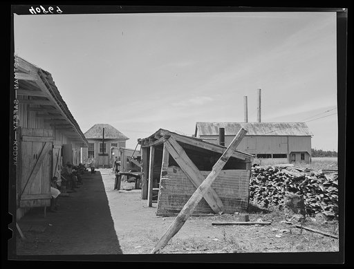 Camp for migratory workers of the Phillips Packing Company at Vienna, Maryland. On the left are the living quarters, in the center the cook-houses and in the background on the right the factory