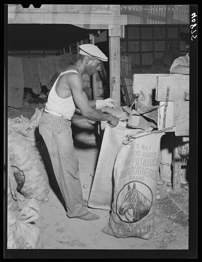 Migratory worker at the "number one" end of the grader at Belcross, North Carolina