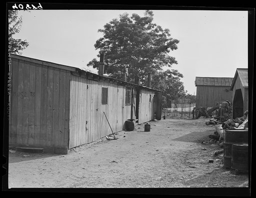 Barracks for migratory agricultural labor at Bridgeville, Delaware. The migrants were here for the apple picking season