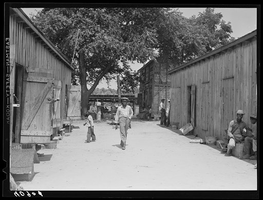 Camp for migratory agricultural workers at Staytonville, Delaware. They are here for the bean picking season