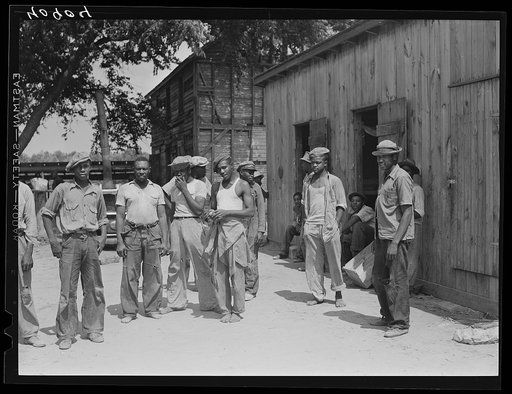 Migratory bean pickers at camp at Staytonville, Delaware. There are 130 persons all told in this camp--thirty in the house in the backgrpund (called the "bullpen") and fifty in each of the two long wooden structures on the side