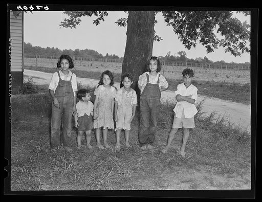 Children of Italian migratory workers who have come from Delaware to work in the onion fields near Cedarville, New Jersey