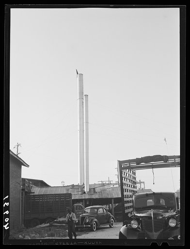 The Kings Creek Packing Company at Kings Creek, Maryland, employed migrants (both Negro and white)