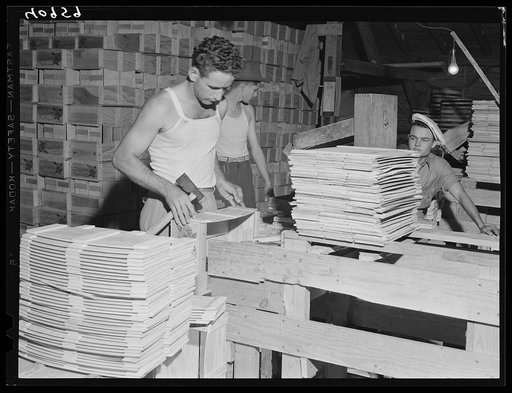 Florida migrants at Kings Creek Canning Company making boxes ("lugs") for packing tomatoes. Kings Creek, Maryland